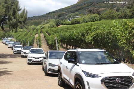 Constantia Wine Farms [19]