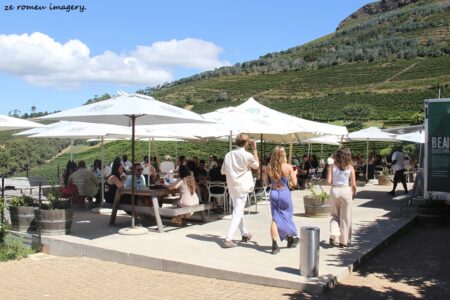 Constantia Wine Farms [20]