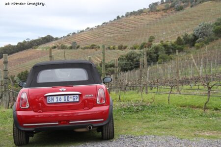 Constantia Wine Farms [21]