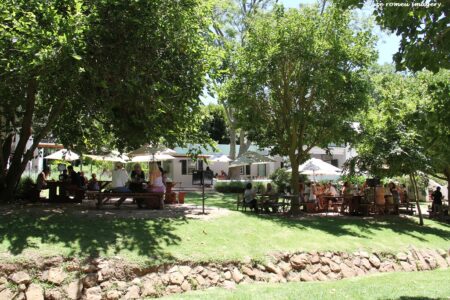 Constantia Wine Farms [24]