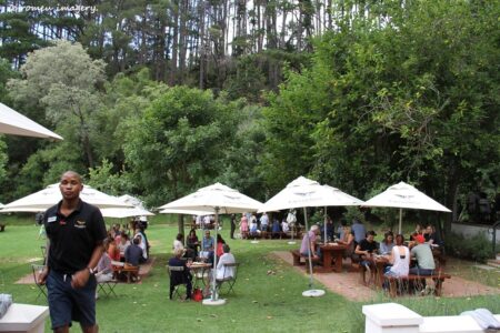 Constantia Wine Farms [33]