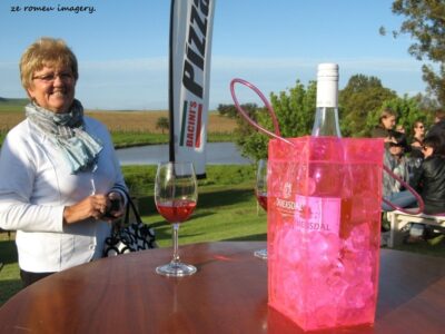 Durbanville Hills Wine Valley, The Cape's Coolest Wine Producing Region [102]