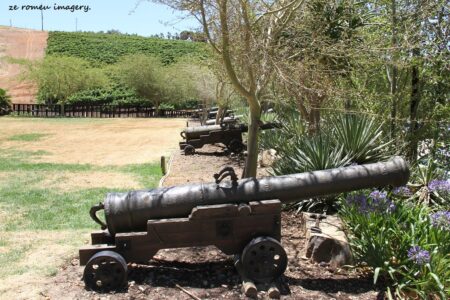 Durbanville Hills Wine Valley, The Cape's Coolest Wine Producing Region [104]