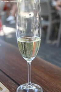 Durbanville Hills Wine Valley, The Cape's Coolest Wine Producing Region [11]