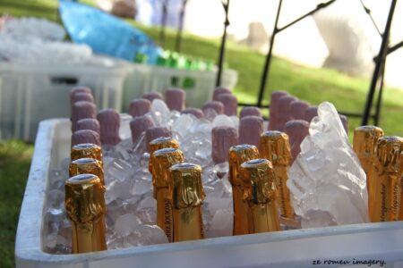 Durbanville Hills Wine Valley, The Cape's Coolest Wine Producing Region [110]