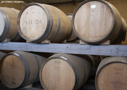 Durbanville Hills Wine Valley, The Cape's Coolest Wine Producing Region [115]