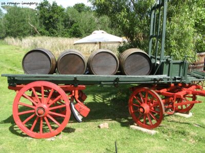 Durbanville Hills Wine Valley, The Cape's Coolest Wine Producing Region [12]