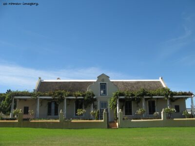 Durbanville Hills Wine Valley, The Cape's Coolest Wine Producing Region [121]