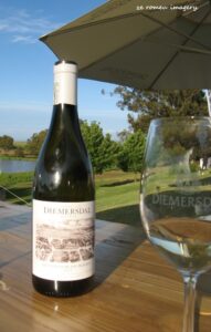 Durbanville Hills Wine Valley, The Cape's Coolest Wine Producing Region [16]