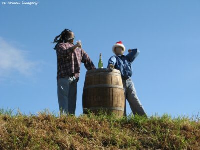 Durbanville Hills Wine Valley, The Cape's Coolest Wine Producing Region [19]