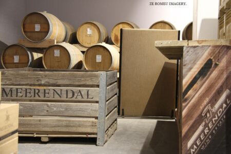 Durbanville Hills Wine Valley, The Cape's Coolest Wine Producing Region [20]