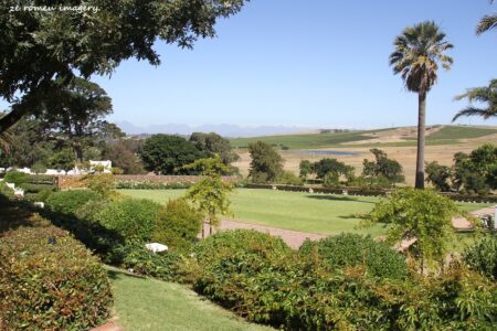 Durbanville Hills Wine Valley, The Cape's Coolest Wine Producing Region [22]