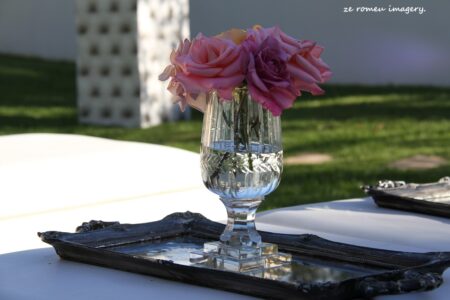 Durbanville Hills Wine Valley, The Cape's Coolest Wine Producing Region [26]