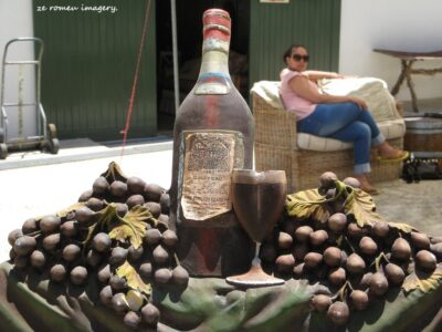 Durbanville Hills Wine Valley, The Cape's Coolest Wine Producing Region [27]