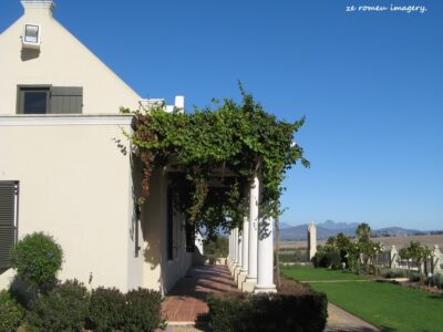 Durbanville Hills Wine Valley, The Cape's Coolest Wine Producing Region [34]