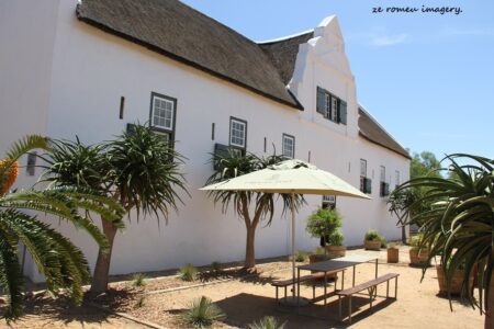 Durbanville Hills Wine Valley, The Cape's Coolest Wine Producing Region [36]