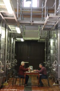 Durbanville Hills Wine Valley, The Cape's Coolest Wine Producing Region [42]