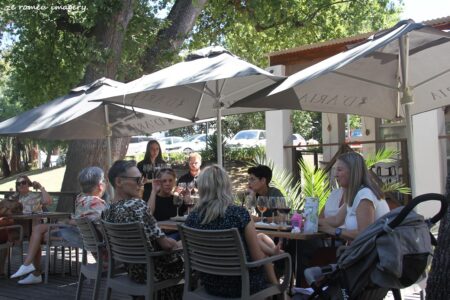 Durbanville Hills Wine Valley, The Cape's Coolest Wine Producing Region [50]