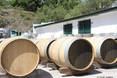 Durbanville Hills Wine Valley, The Cape's Coolest Wine Producing Region [53]