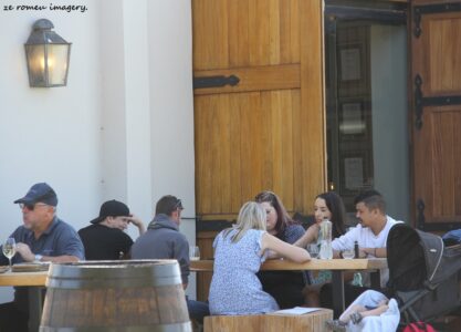 Durbanville Hills Wine Valley, The Cape's Coolest Wine Producing Region [55]