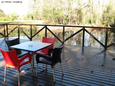 Durbanville Hills Wine Valley, The Cape's Coolest Wine Producing Region [6]