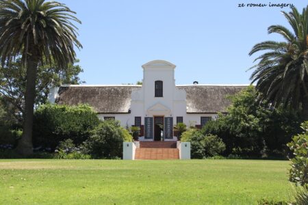 Durbanville Hills Wine Valley, The Cape's Coolest Wine Producing Region [60]