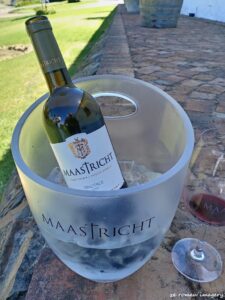 Durbanville Hills Wine Valley, The Cape's Coolest Wine Producing Region [63]