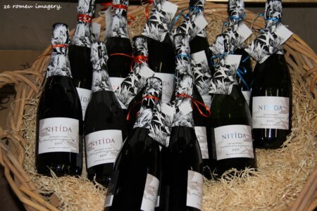 Durbanville Hills Wine Valley, The Cape's Coolest Wine Producing Region [67]