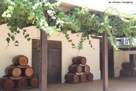 Durbanville Hills Wine Valley, The Cape's Coolest Wine Producing Region [70]