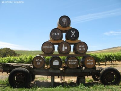 Durbanville Hills Wine Valley, The Cape's Coolest Wine Producing Region [71]