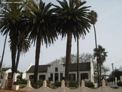 Durbanville Hills Wine Valley, The Cape's Coolest Wine Producing Region [72]
