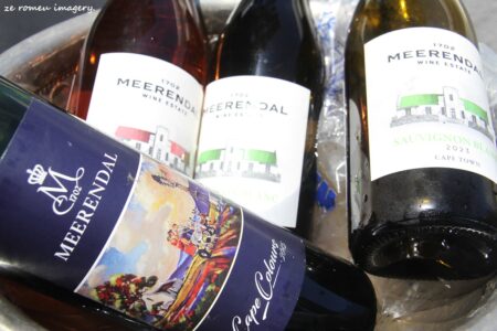 Durbanville Hills Wine Valley, The Cape's Coolest Wine Producing Region [81]