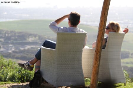 Durbanville Hills Wine Valley, The Cape's Coolest Wine Producing Region [82]