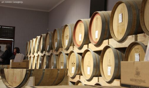 Durbanville Hills Wine Valley, The Cape's Coolest Wine Producing Region [84]
