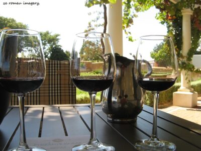 Durbanville Hills Wine Valley, The Cape's Coolest Wine Producing Region [90]