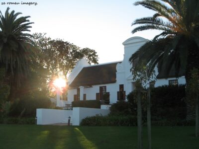 Durbanville Hills Wine Valley, The Cape's Coolest Wine Producing Region [92]