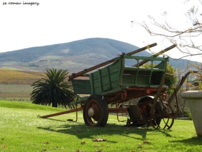 Durbanville Hills Wine Valley, The Cape's Coolest Wine Producing Region [93]