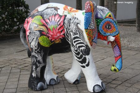 Elephant Art Grande Provence Wines