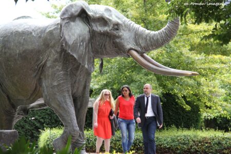 Elephant Sculpture on the Grande Provence Wine Farm Tour