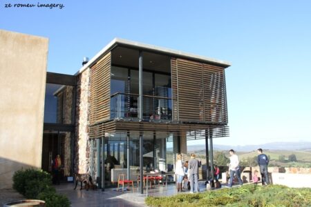Elgin Wine Region & Wine Farms In Elgin [11]