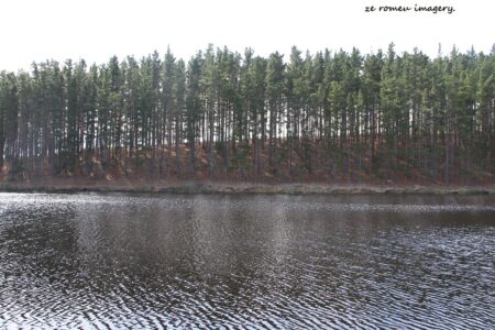 Elgin Wine Region & Wine Farms In Elgin [13]