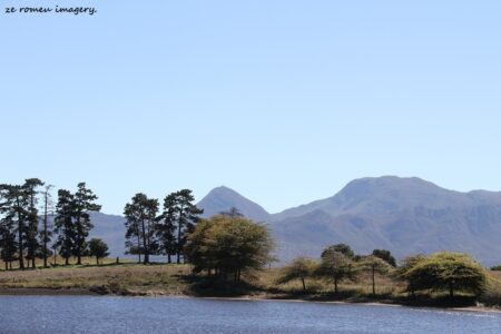 Elgin Wine Region & Wine Farms In Elgin [14]