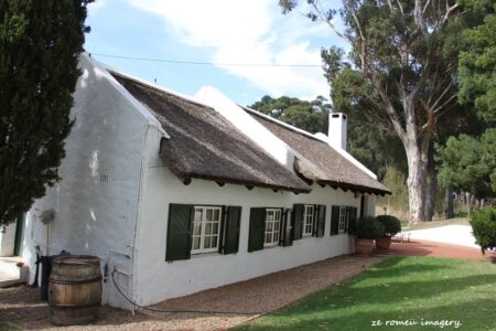 Elgin Wine Region & Wine Farms In Elgin [16]