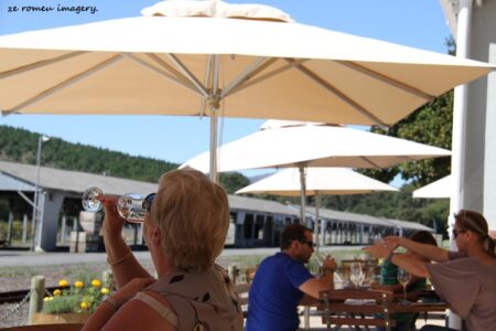 Elgin Wine Region & Wine Farms In Elgin [18]