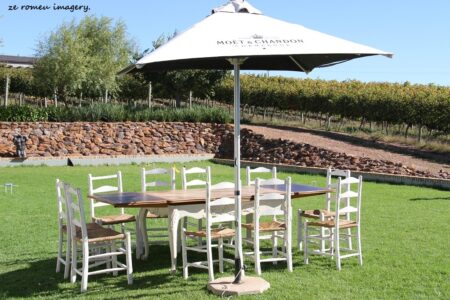 Elgin Wine Region & Wine Farms In Elgin [2]