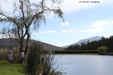 Elgin Wine Region & Wine Farms In Elgin [20]