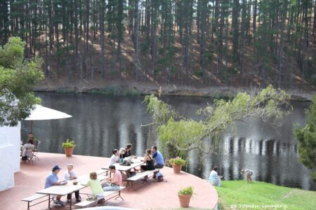Elgin Wine Region & Wine Farms In Elgin [22]