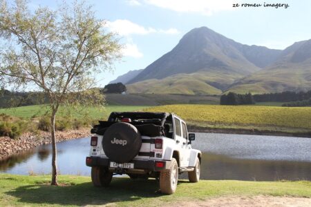 Elgin Wine Region & Wine Farms In Elgin [24]