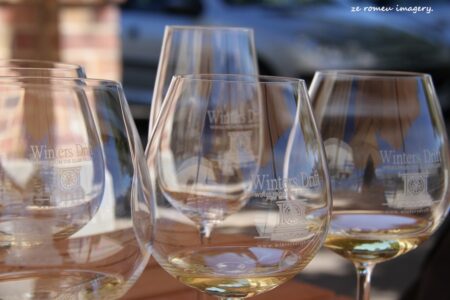 Elgin Wine Region & Wine Farms In Elgin [27]