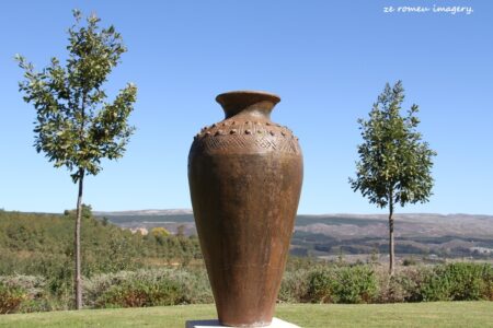 Elgin Wine Region & Wine Farms In Elgin [31]